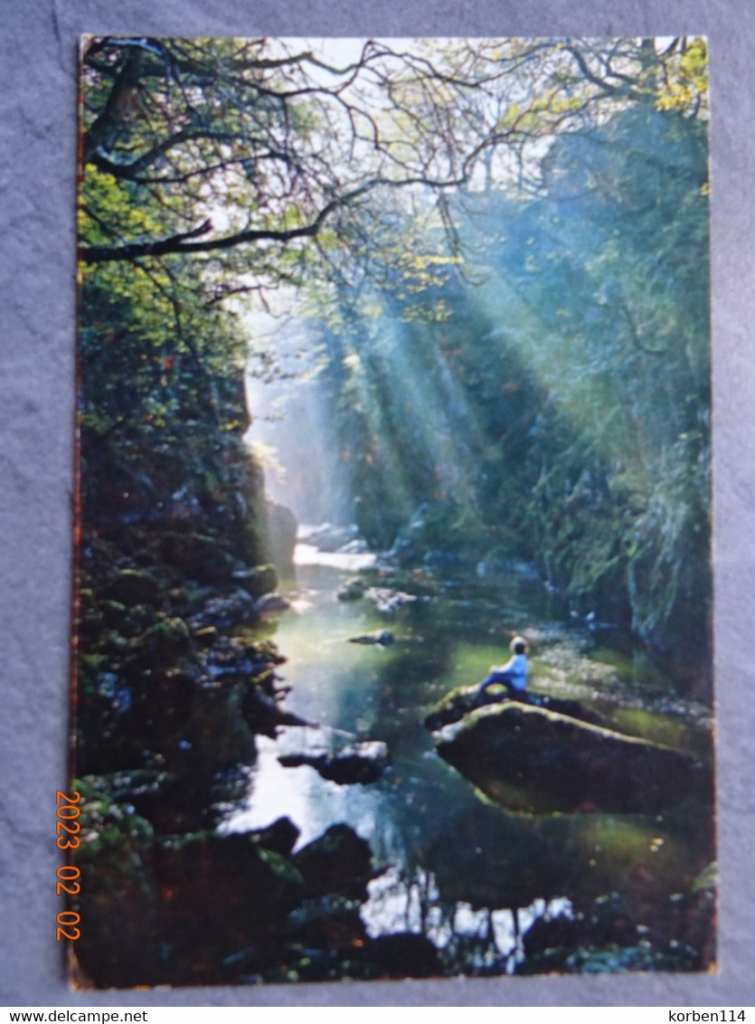 THE FAIRY GLEN  BETWS-Y-COED - Unknown County