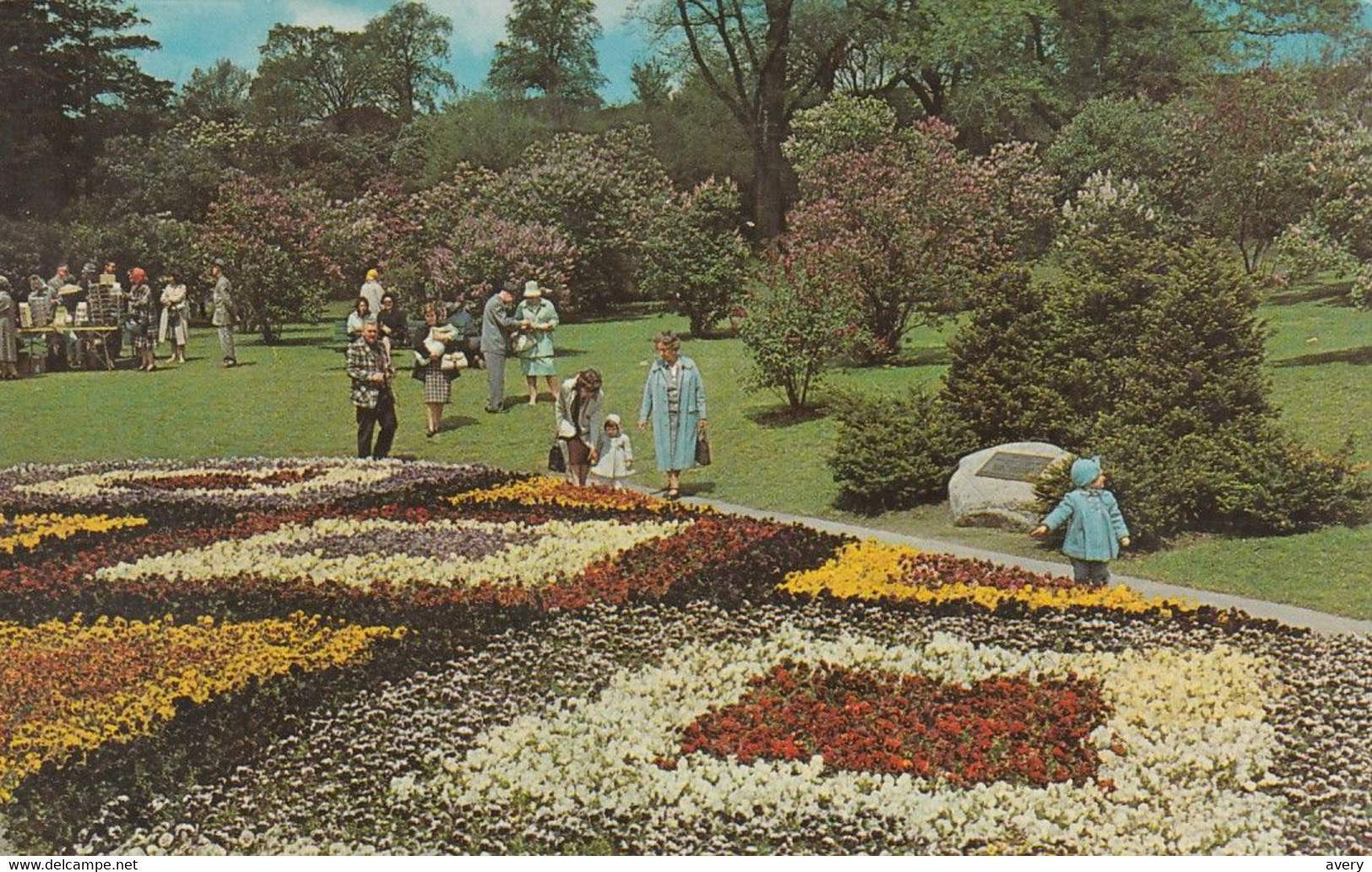 Rochester, New York "Lilac Capital Of The World" Beautiful Pansy Bed In Monroe County's Highland Park - Rochester