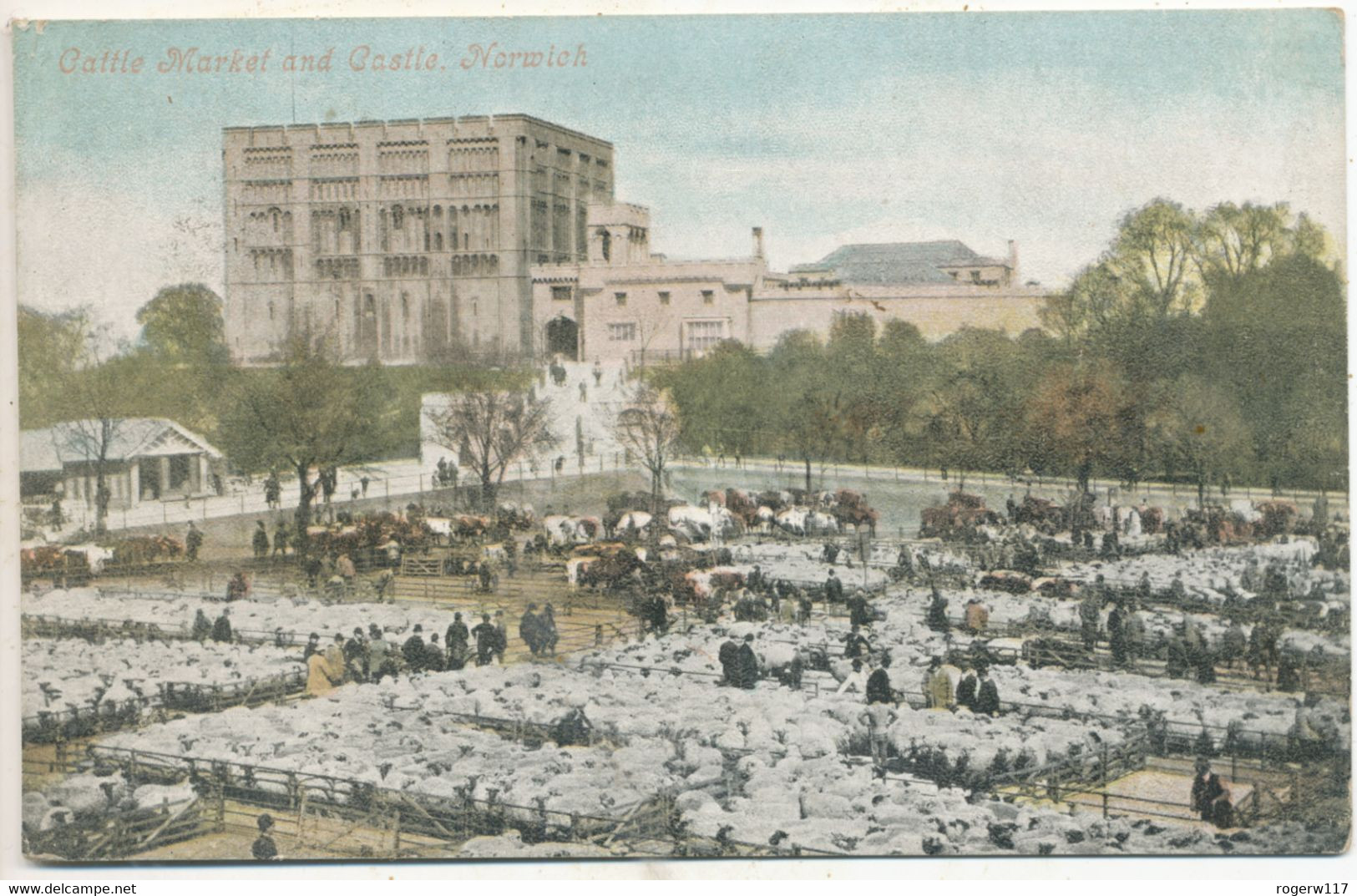 Cattle Market And Castle, Norwich, 1904 Postcard - Norwich