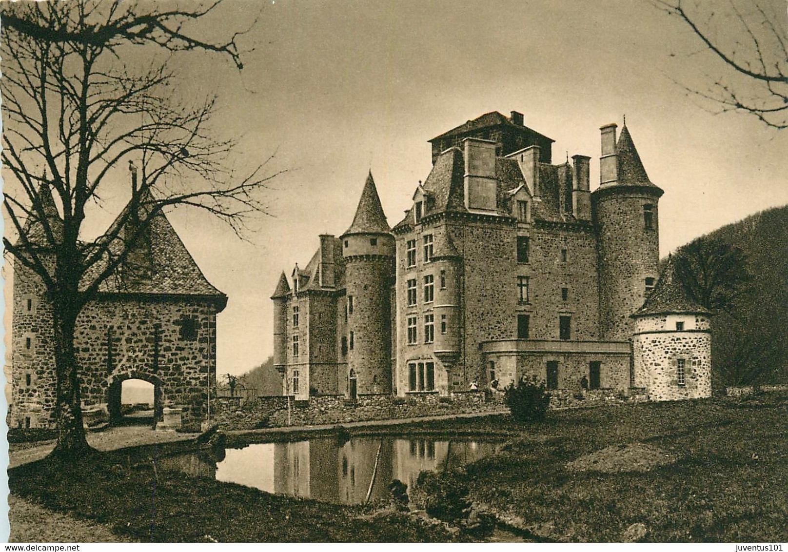 CPA Le Cantal-Vue Générale Du Château De Pesteil à Polminhac-272     L2048 - Arpajon Sur Cere