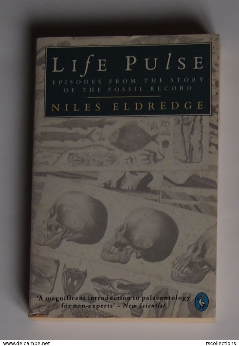 Life Pulse - Episodes From The Story Of The Fossil Record - Other & Unclassified