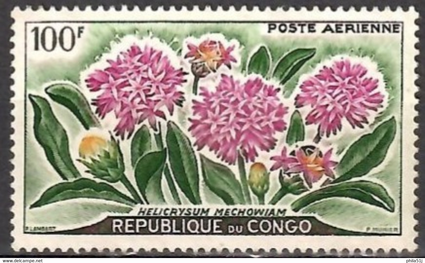 Rép Du CONGO ---  PA N°2 ---OBL  VOIR  SCAN - Usati