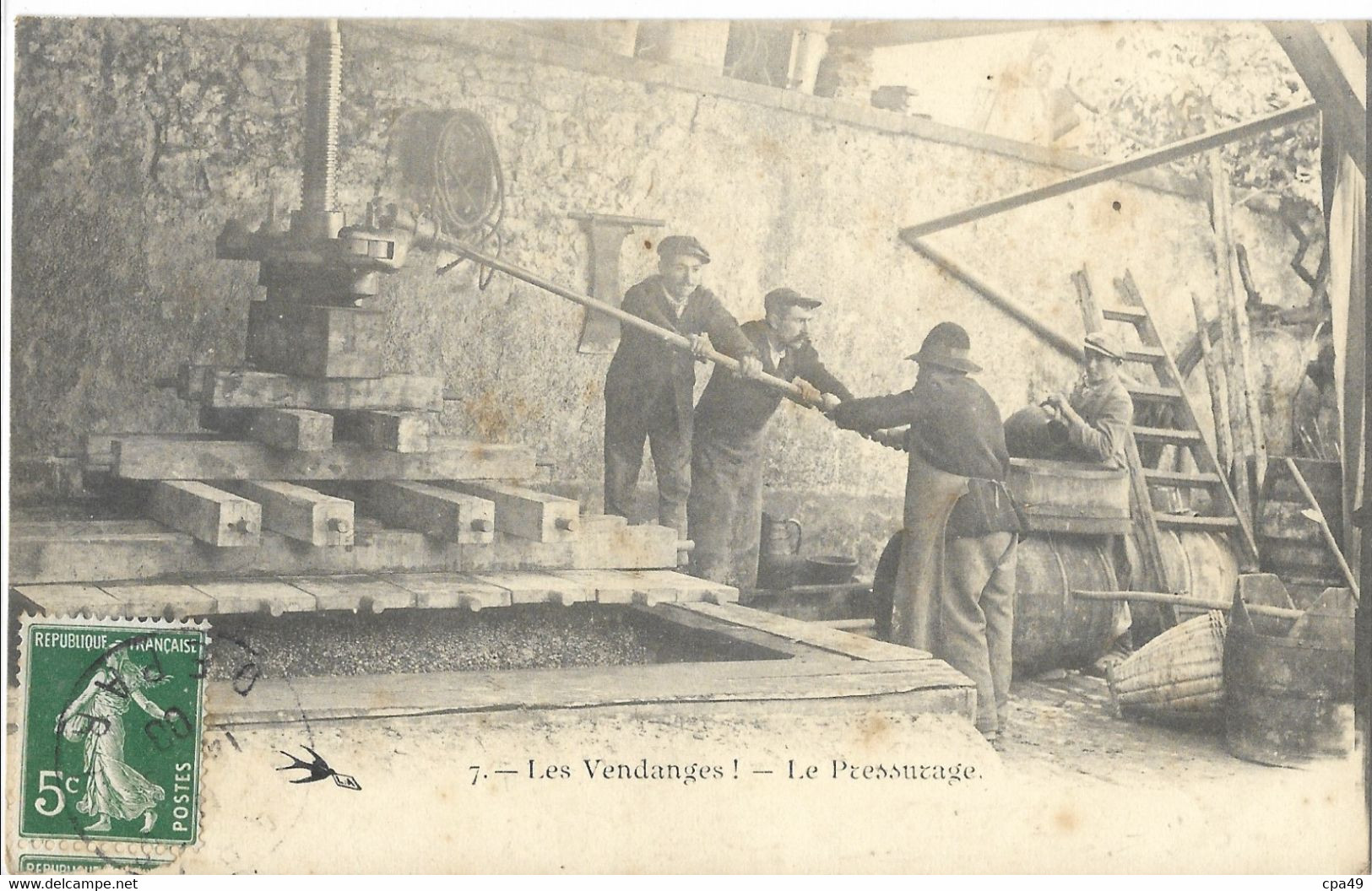 LES   VENDANGES  LE  PRESSURAGE - Weinberge