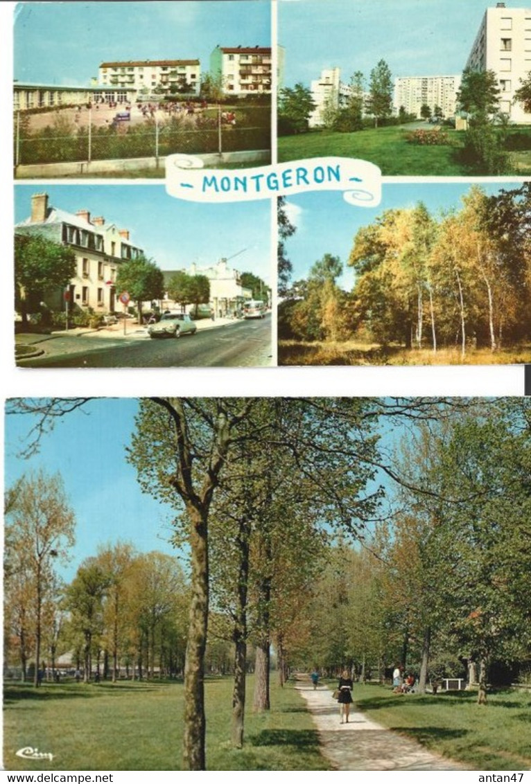 2 Cartes SM / 91 MONTGERON - Montgeron