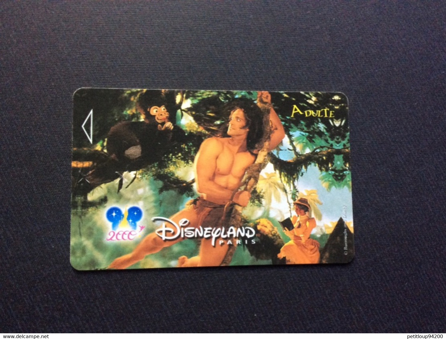 PASSEPORT DISNEYLAND Paris - Passaporti  Disney