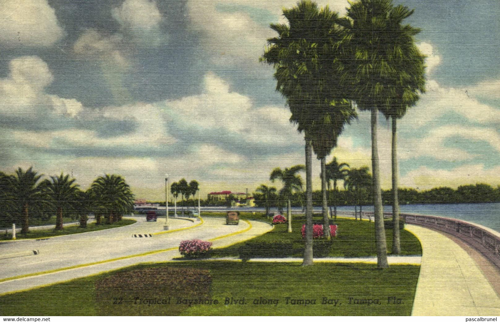 TAMPA - TROPICAL BAYSHORE BLVD. ALONG TAMPA BAY - Tampa