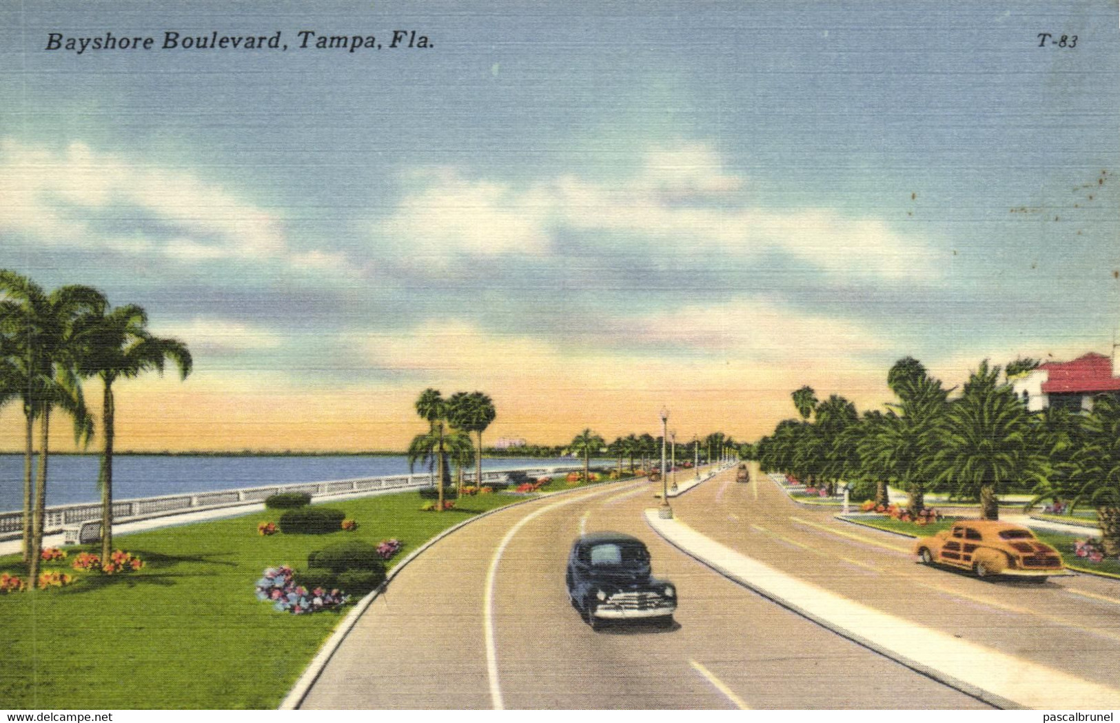 TAMPA - BAYSHORE BOULEVARD - Tampa