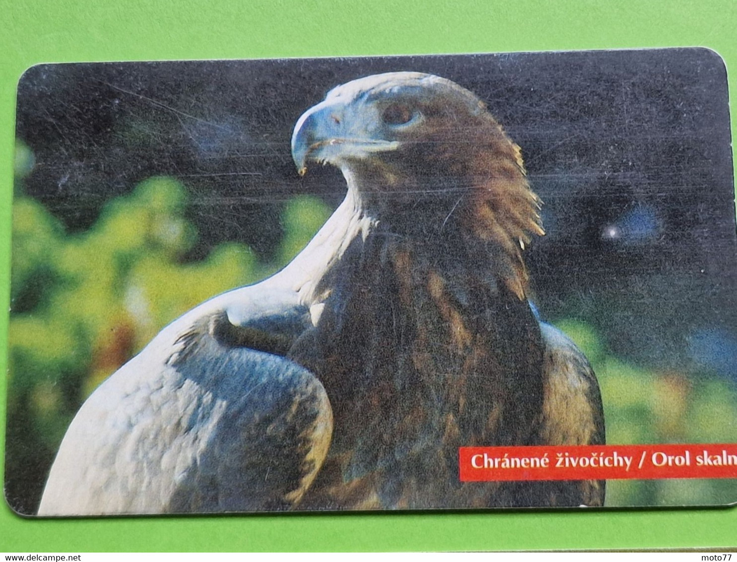 Lot 4 Cartes Téléphonique VIDE - Cabine Téléphone - AIGLE Oiseau Rapace - 1996 1998 - Arenden & Roofvogels