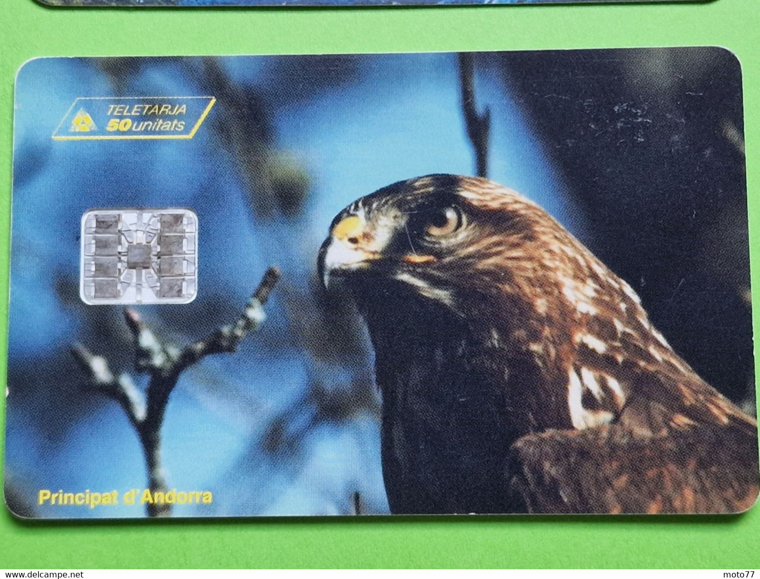 Lot 4 Cartes Téléphonique VIDE - Cabine Téléphone - AIGLE Oiseau Rapace - 1996 1998 - Aigles & Rapaces Diurnes