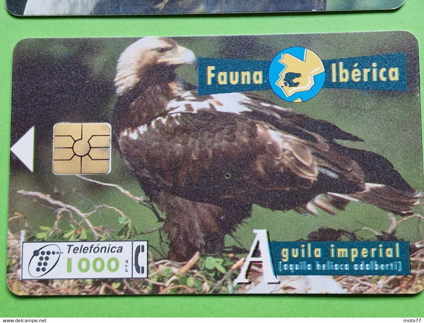 Lot 4 Cartes Téléphonique VIDE - Cabine Téléphone - AIGLE Oiseau Rapace - 1996 1998 - Águilas & Aves De Presa