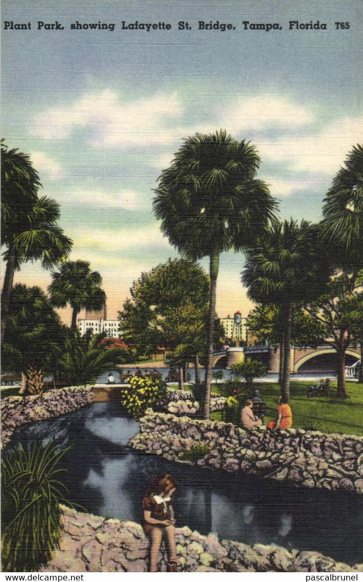 TAMPA - PLANT PARK SHOWING LAFAYETTE STREET BRIDGE - Tampa