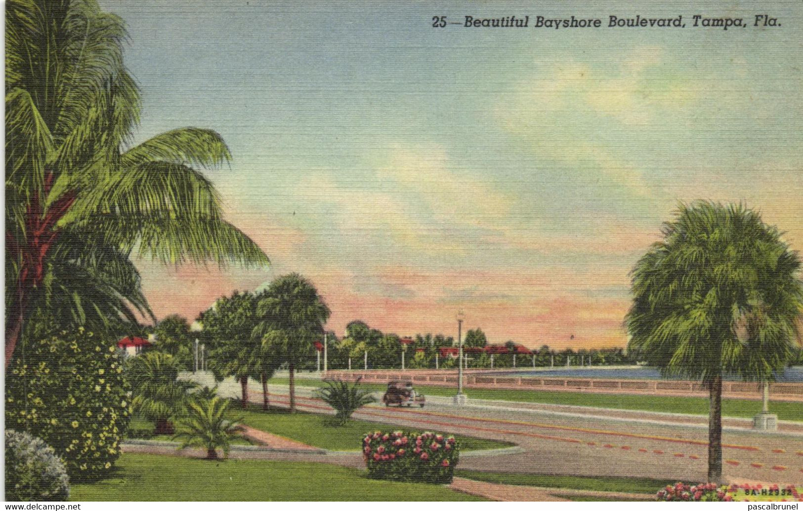 TAMPA - BEAUTIFUL BAYSHORE BOULEVARD - Tampa