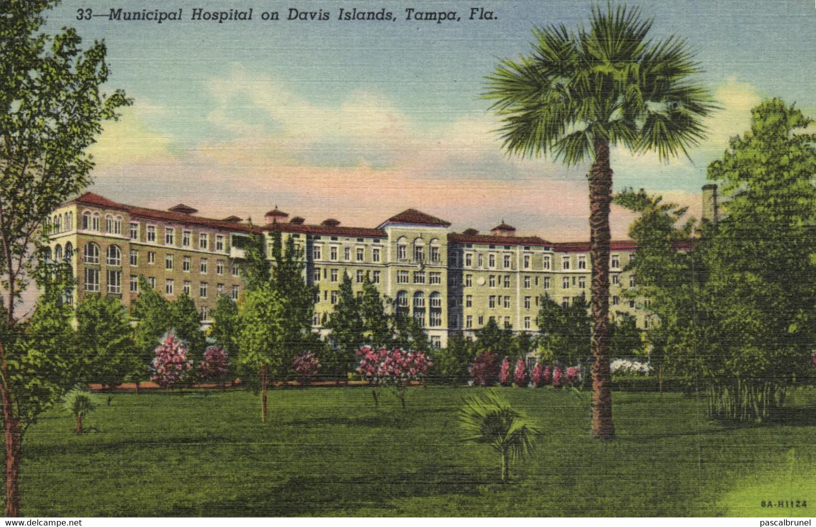 TAMPA - MUNICIPAL HOSPITAL ON DAVIS ISLANDS - Tampa