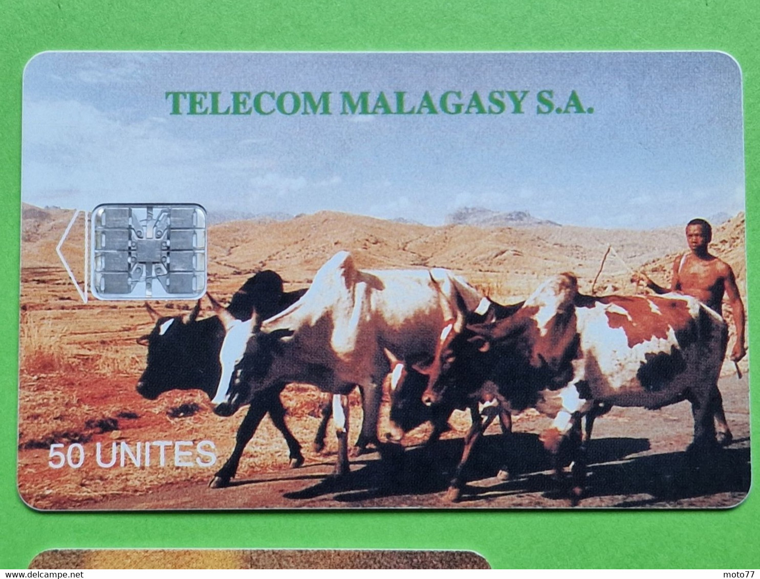 Lot 4 Cartes Téléphonique MADAGASCAR - VIDE - Télécarte Cabine Téléphone - FLEURS Zébus - Madagascar