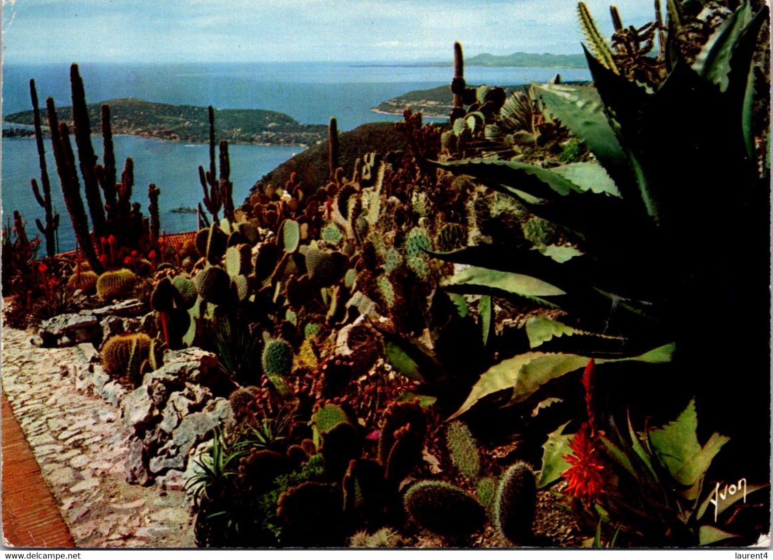(2 Oø 31) France (posted 1967) Eze (Jardin Exotique) - Cactus