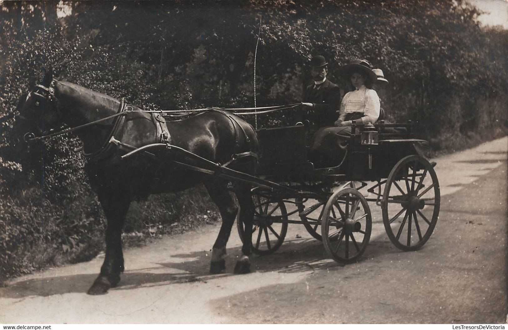 Photographie - Couple Dans Une Carriole - Cheval - Carte Postale Ancienne - Fotografia