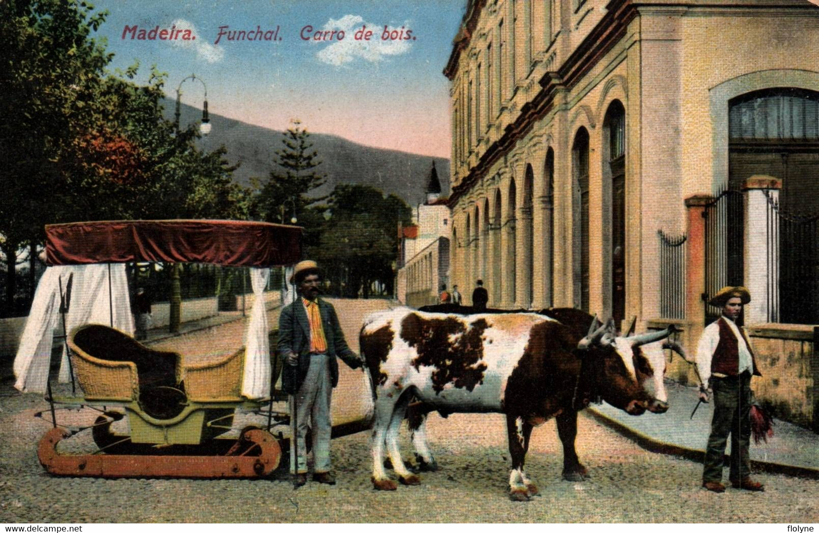 Madeira - Funchal - Carro De Bois - Attelage De Boeufs Traineau - Portugal - Madeira