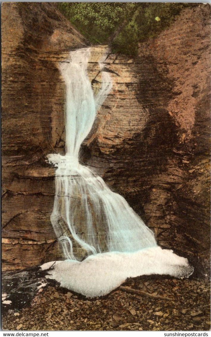 New York Letchworth State Park Wolf Creek Falls Handcolored Albertype - Other & Unclassified