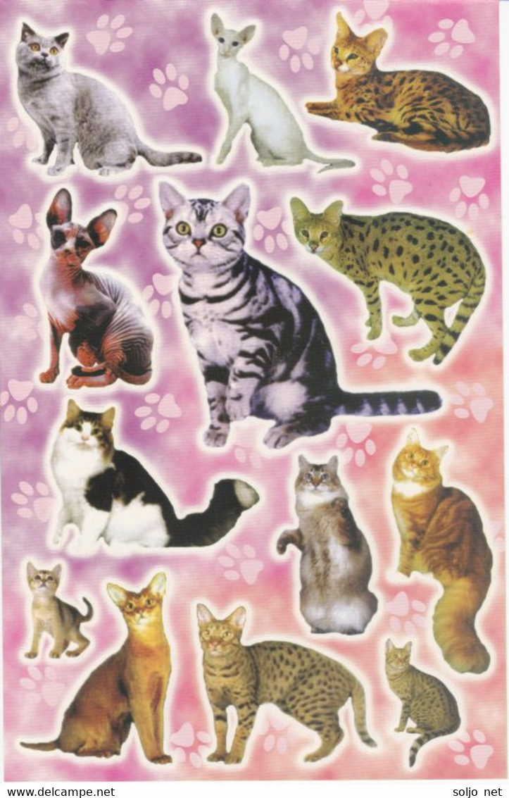 Katze Kitten Tiere Aufkleber / Cat Kittyr Sticker A4 1 Bogen 27 X 18 Cm ST403 - Scrapbooking