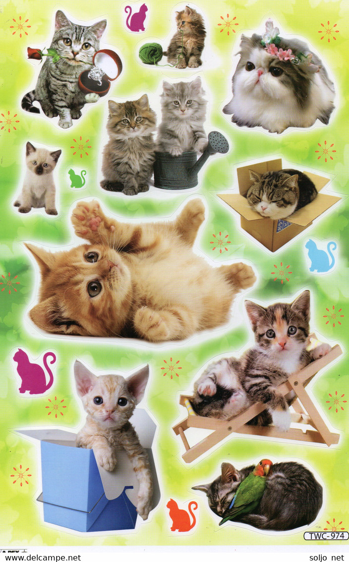 Katze Kitten Tiere Aufkleber / Cat Kitty Sticker A4 1 Bogen 27 X 18 Cm ST324 - Scrapbooking