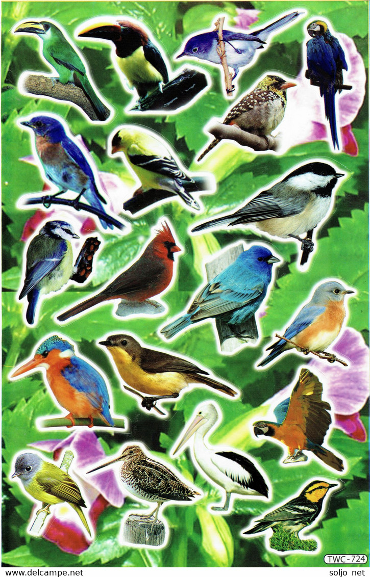 Vogel Tiere Aufkleber / Bird Sticker A4 1 Bogen 27 X 18 Cm ST311 - Scrapbooking