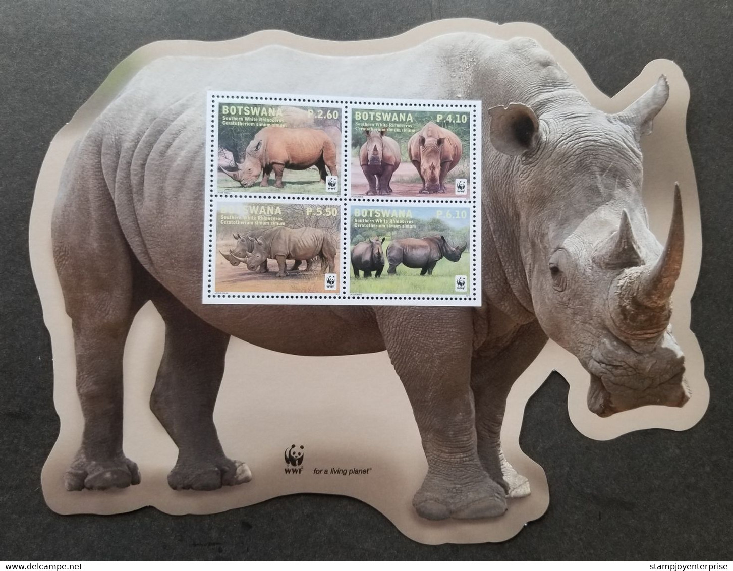 Botswana WWF Southern White Rhinoceros 2011 Wildlife (ms) MNH *odd Shape *unusual - Botswana (1966-...)