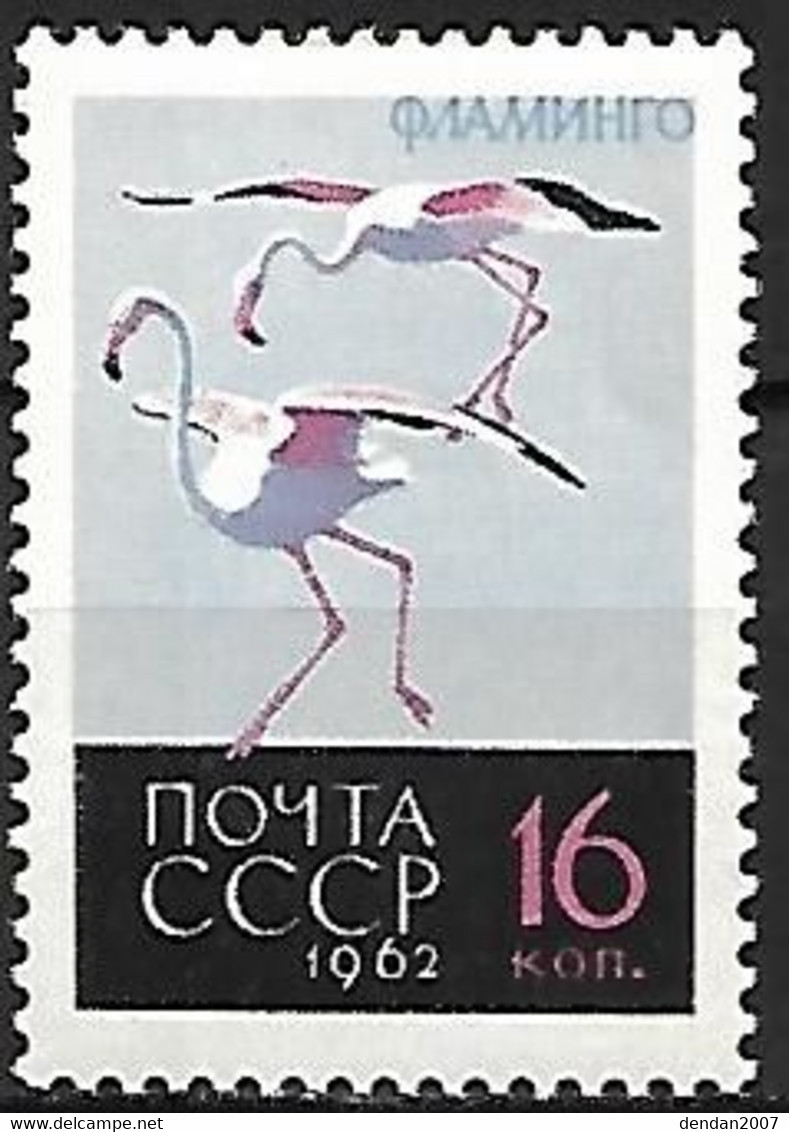 Russia CCCP : MNH ** 1962 :   Greater Flamingo -   Phoenicopterus Roseus - Flamingos