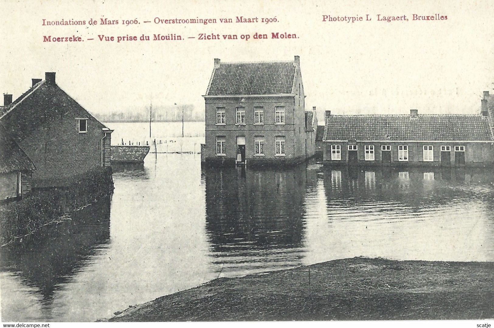 Moerzeke.   -    Zicht Van Op Den Molen.   -   Overstroomingen Van Maart 1906 - Hamme