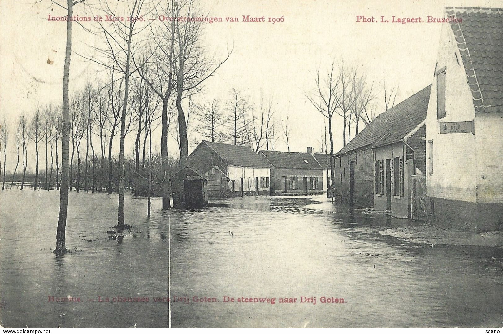 Hamme.   -   De Steenweg Naar Drij Goten.   -   Overstroomingen Van Maart 1906  -   1906  Termonde  Naar   Gent - Hamme