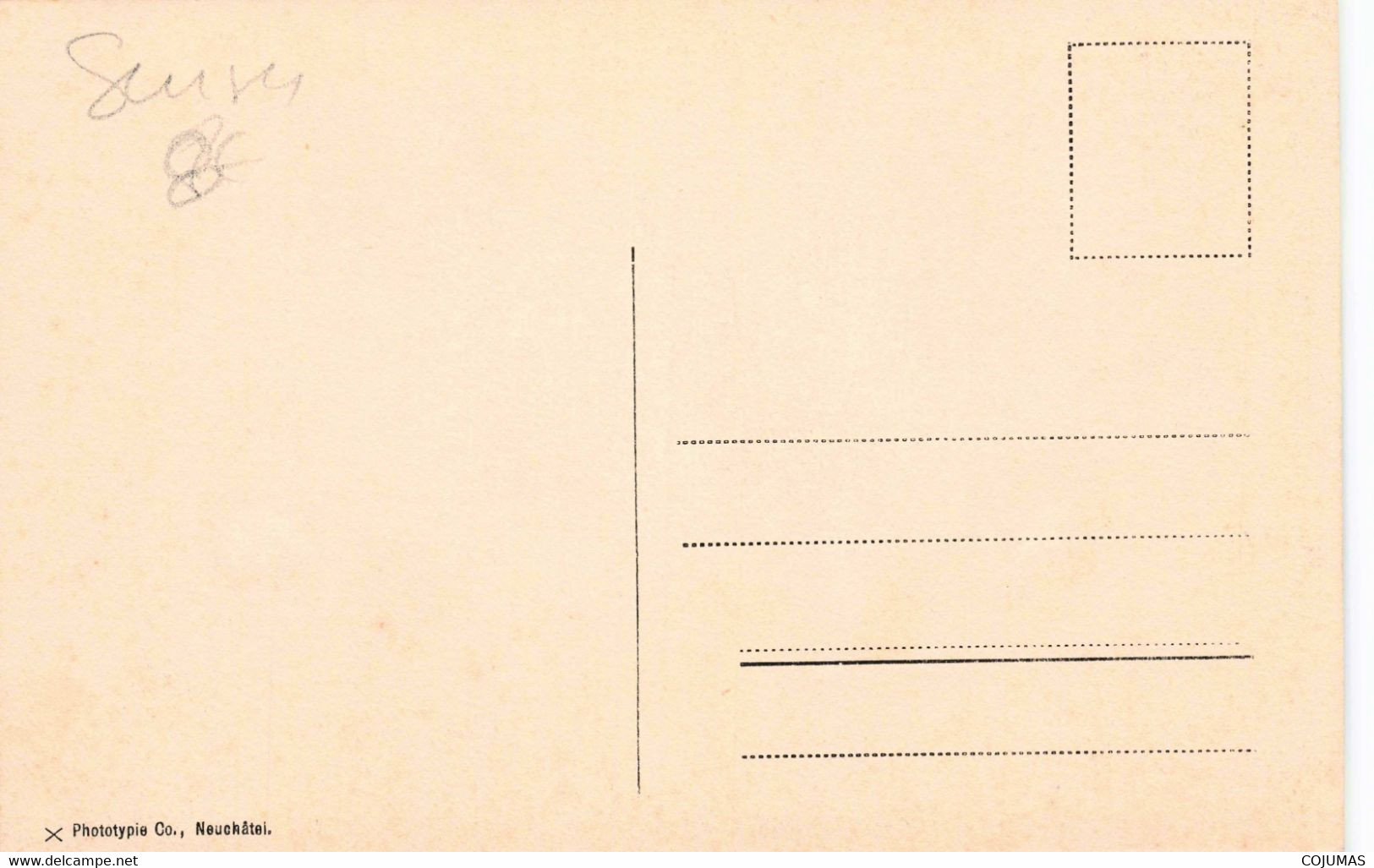 SUISSE - S09536 - Sur L'Alpe - Pensionnaires En Vacances - Agriculture - Cochons - Kostganger In Ferien - L1 - Sion