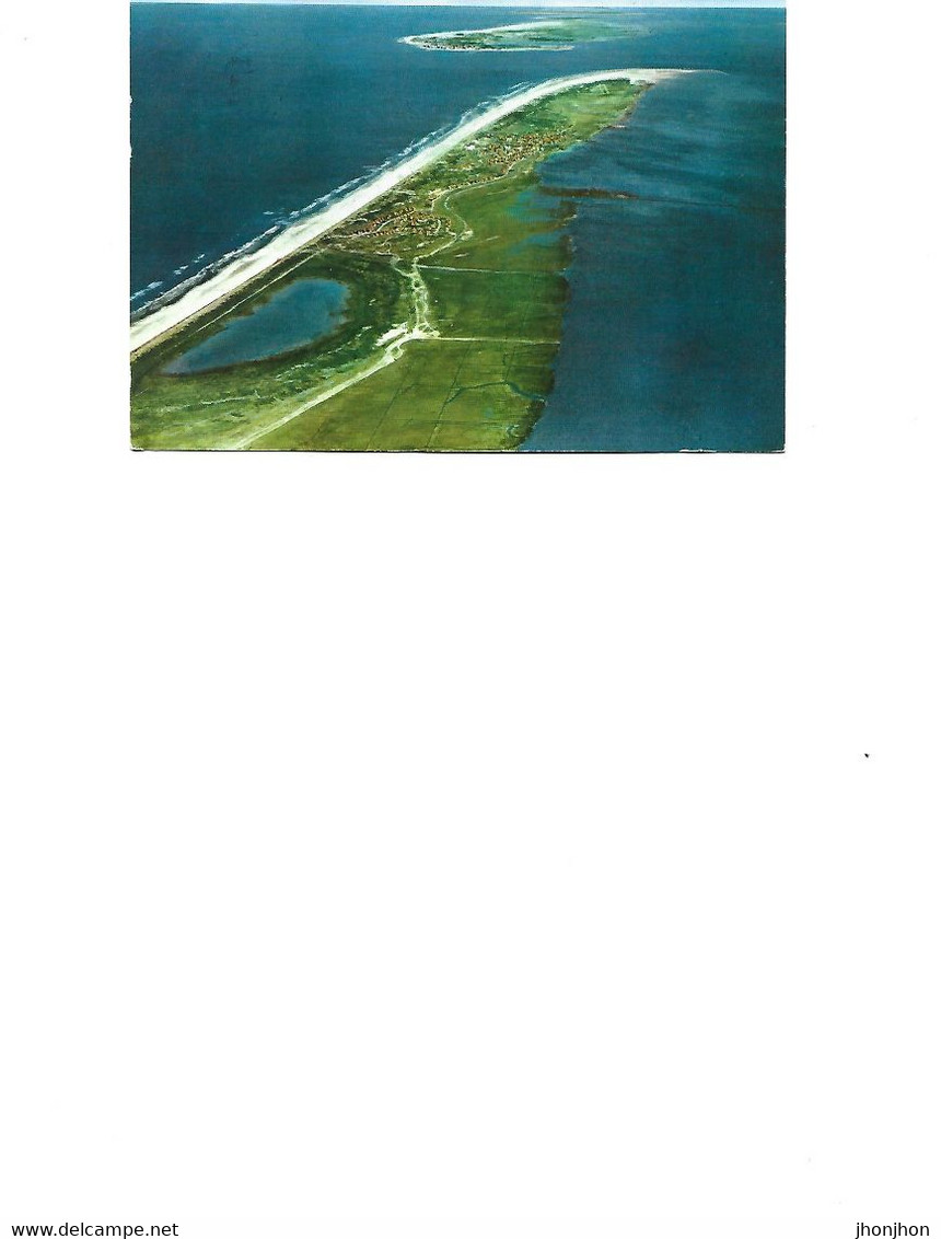 Germany - Postcard Used 1982 -  North Sea Spa Island Of Juist  2/scans - Juist