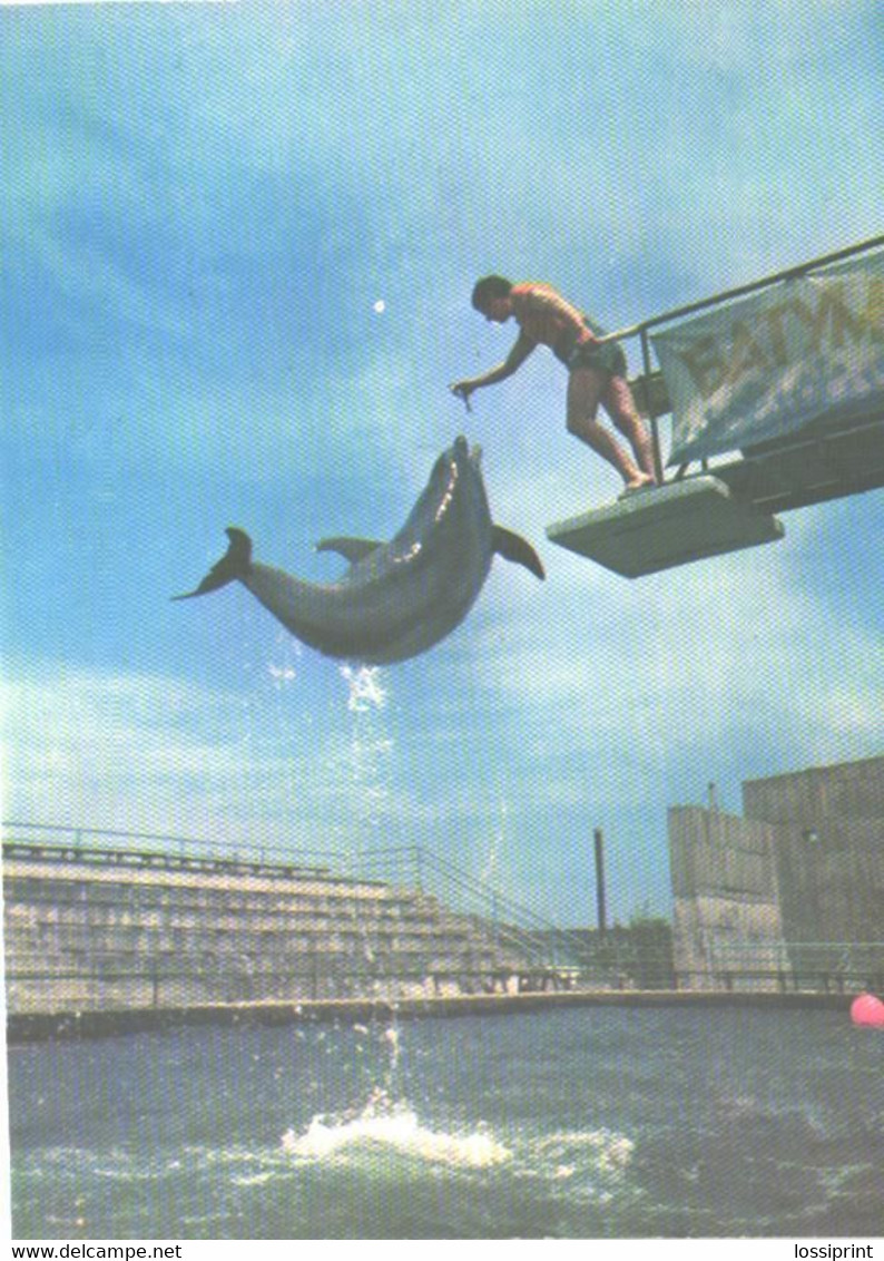 Georgia:Batumi Delfinarium, Arena, Jumping Dolphin, 1980 - Dauphins