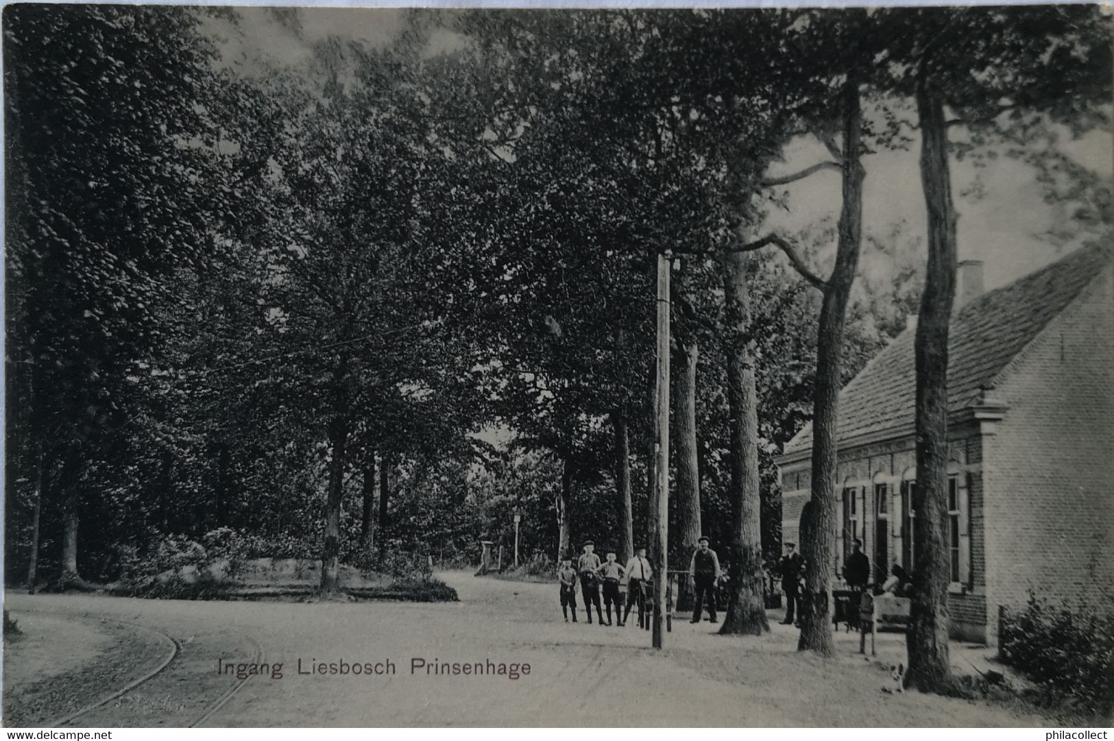 Prinsenhage  - Princehage Bij Breda //  Ingang Liesbosch 1906 - Breda
