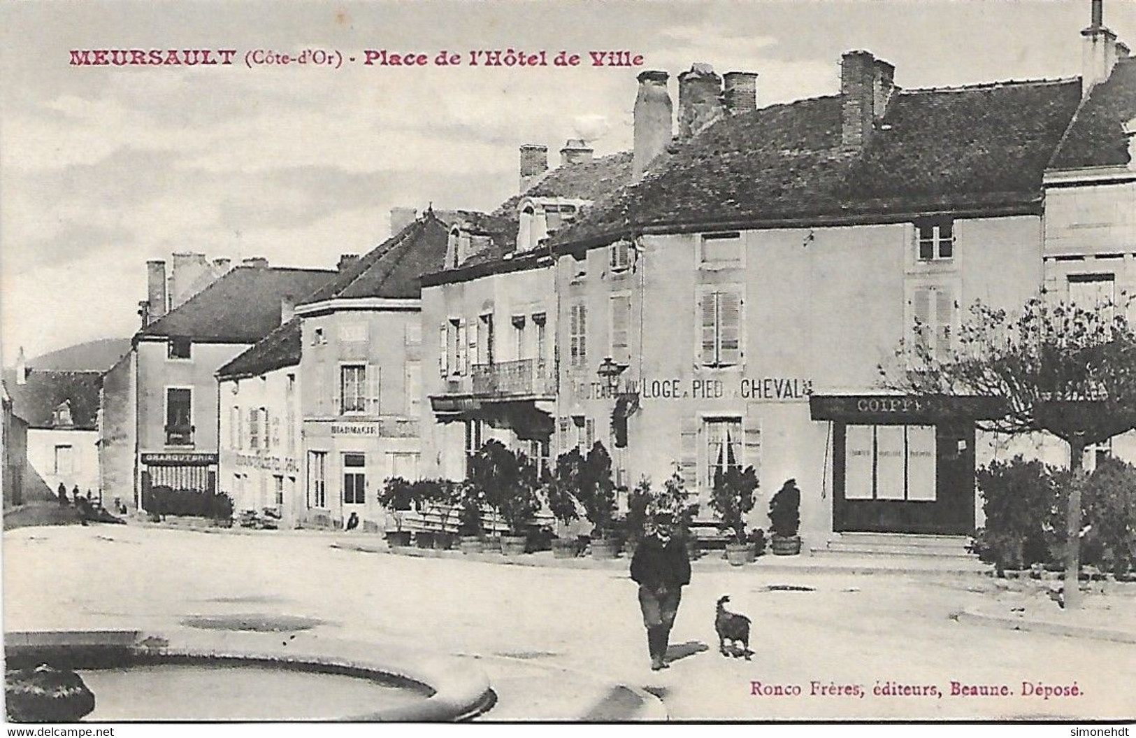 MEURSAULT - Place De  L'Hotel De Ville - Meursault