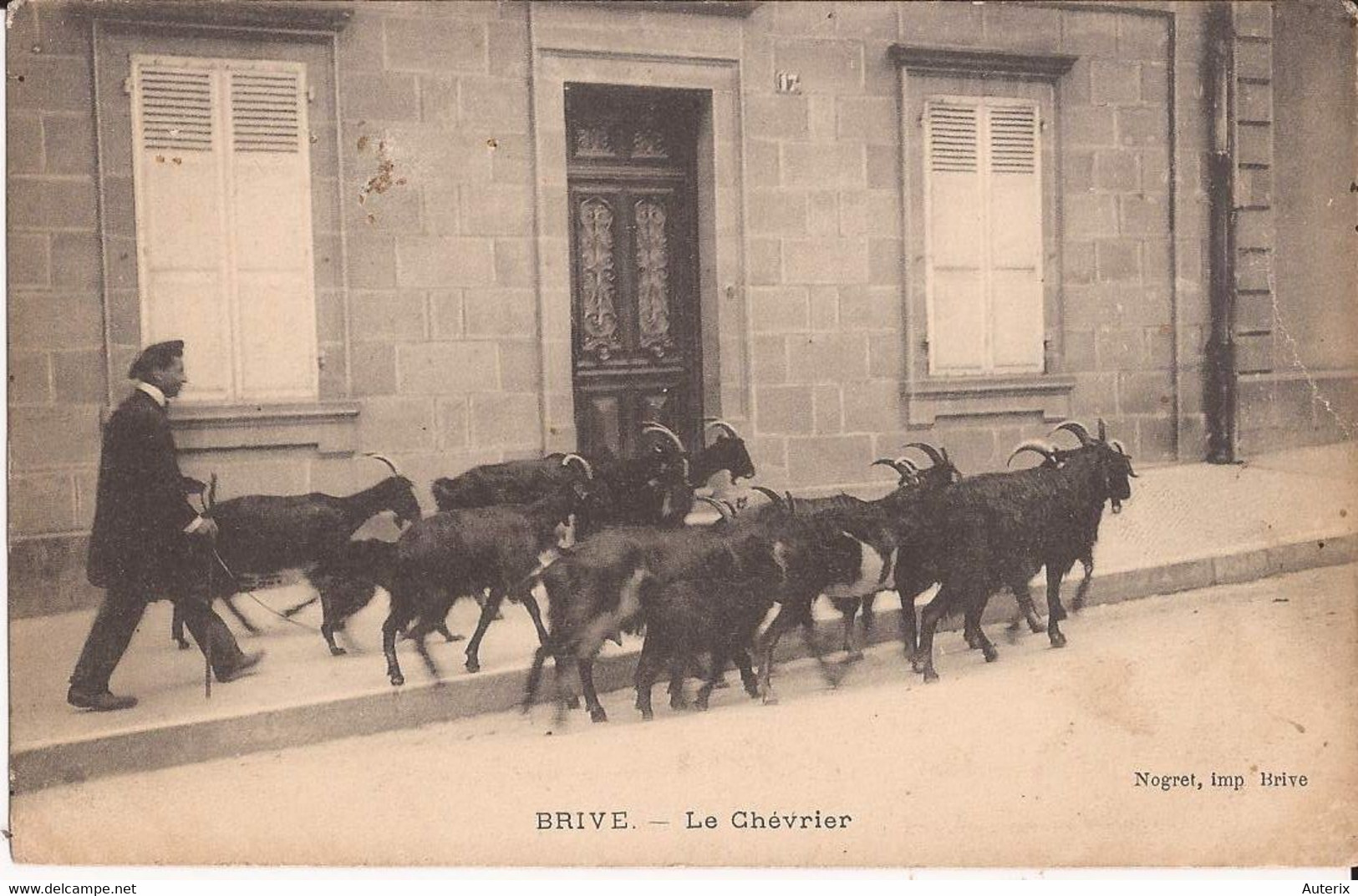 19 BRIVE Chevrier Et Son Troupeau De Chèvres En Ville CPA Chevres Goat - Brive La Gaillarde