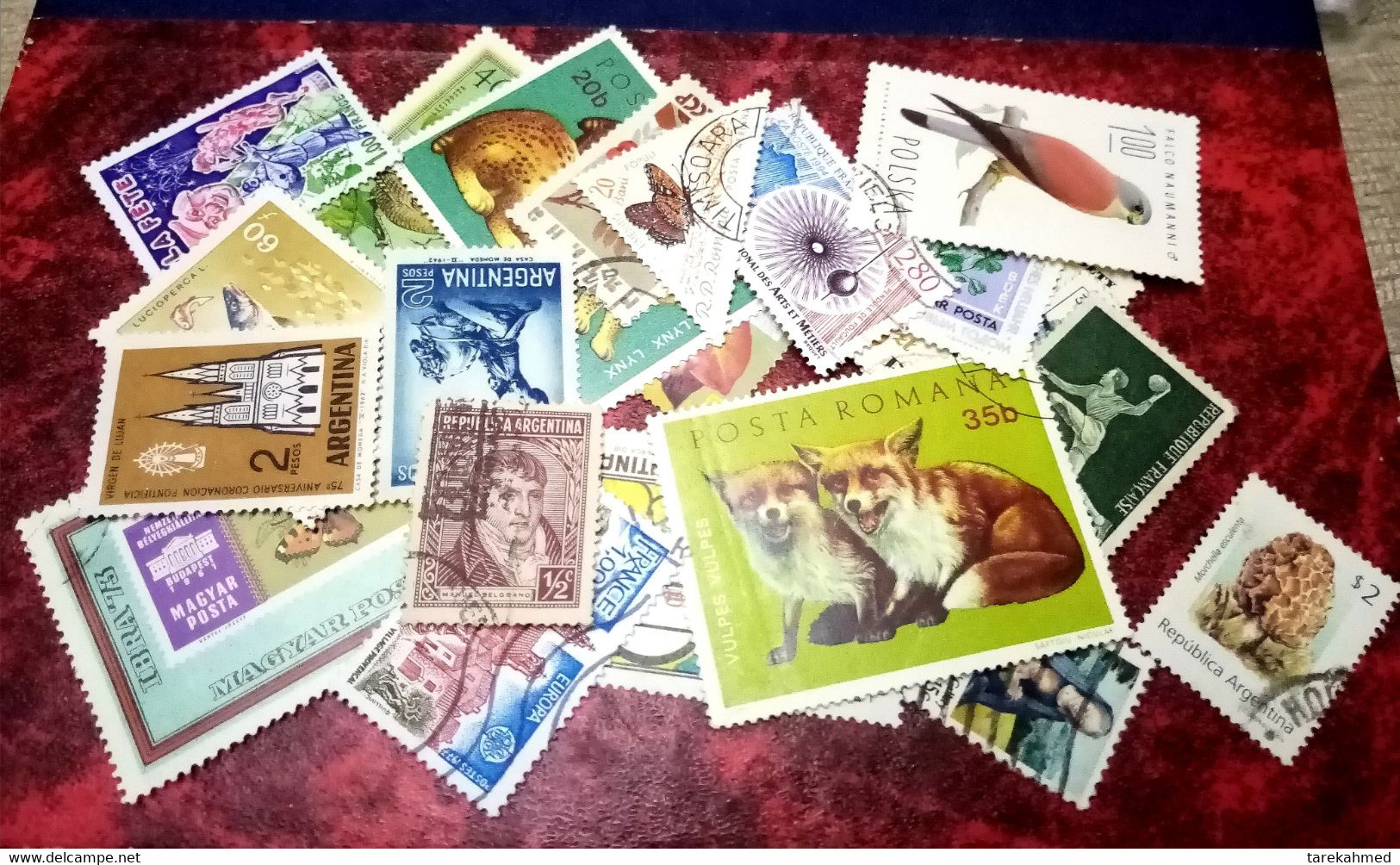 Worldwide 25 Excellent Stamps ,, Argentina , France , Russia , Poland - Vrac (max 999 Timbres)