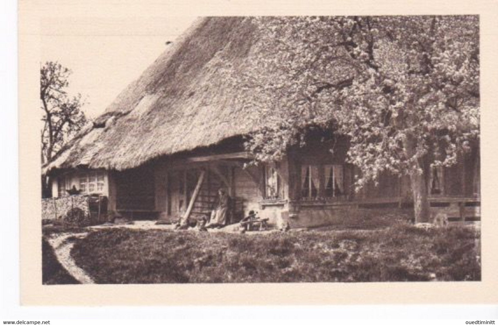 Suisse Chocolat Klaus Le Locle / Morteau Scène De Vie - Le Locle