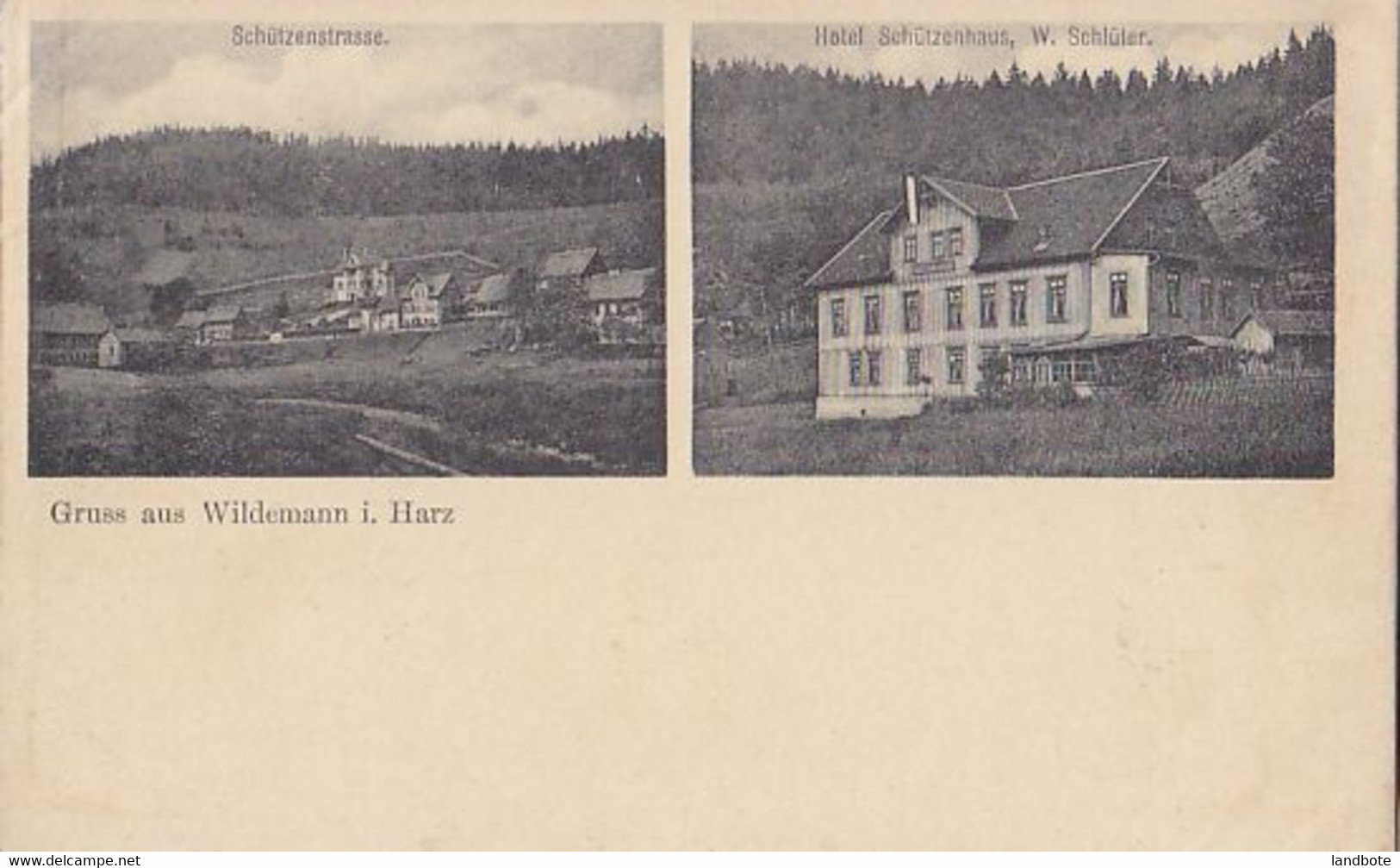 Gruss Aus Wildemann I. Harz - Schützenstrasse - Hotel Schützenhaus W. Schl - Wildemann