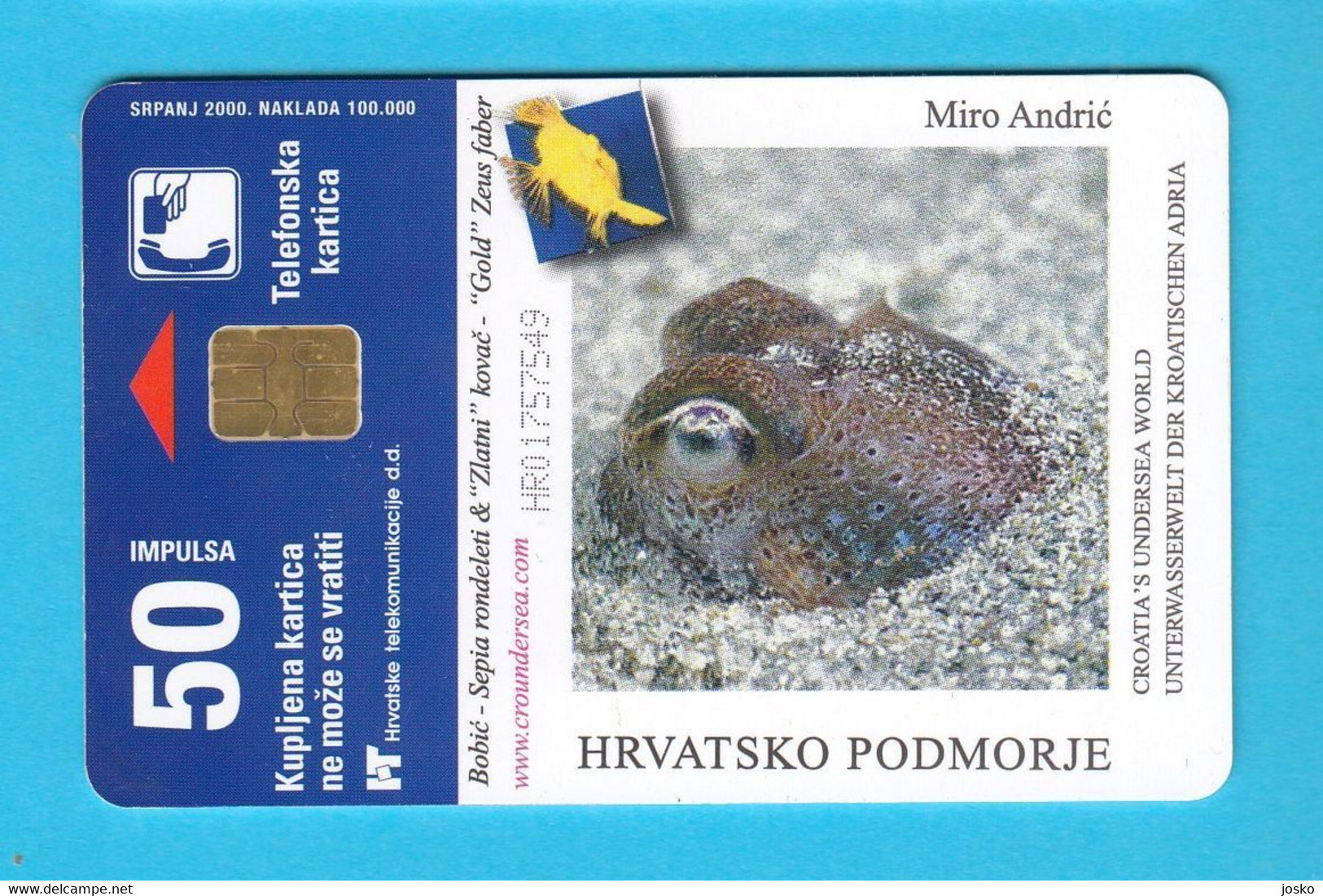 OCTOPUS VULGARIS - Croatia Old Rare Card Serie Undersea * Poulpe Sépia Oktopus Seepolyp Tintenfisch Pulpo Hobotnica - Peces