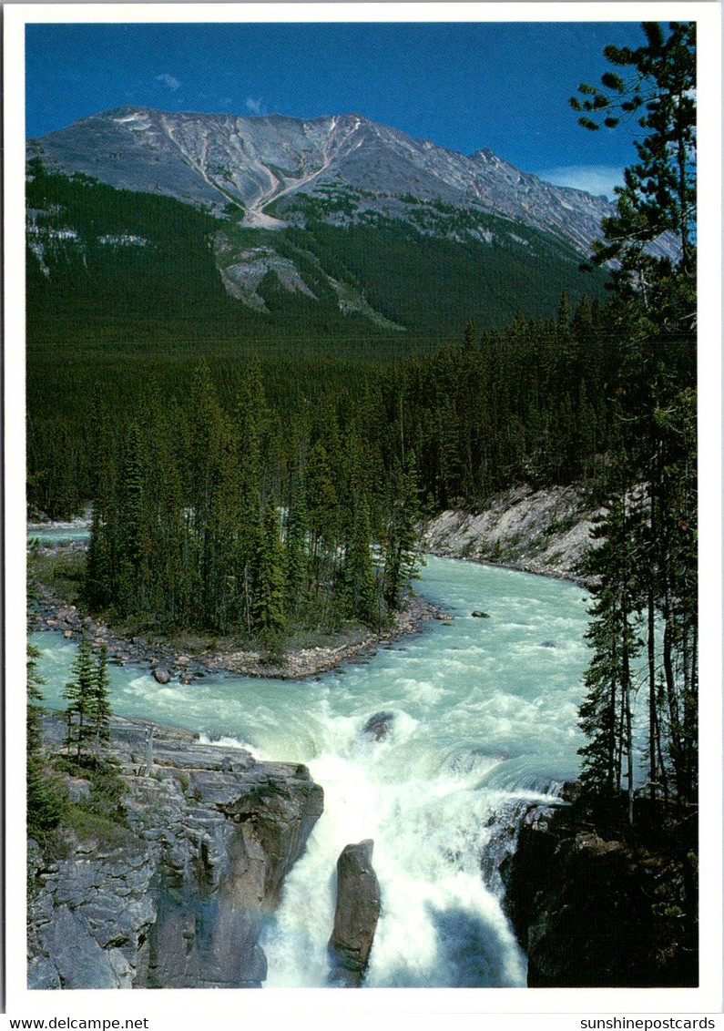 Canada Jasper National Falls Sunwapta Falls - Jasper