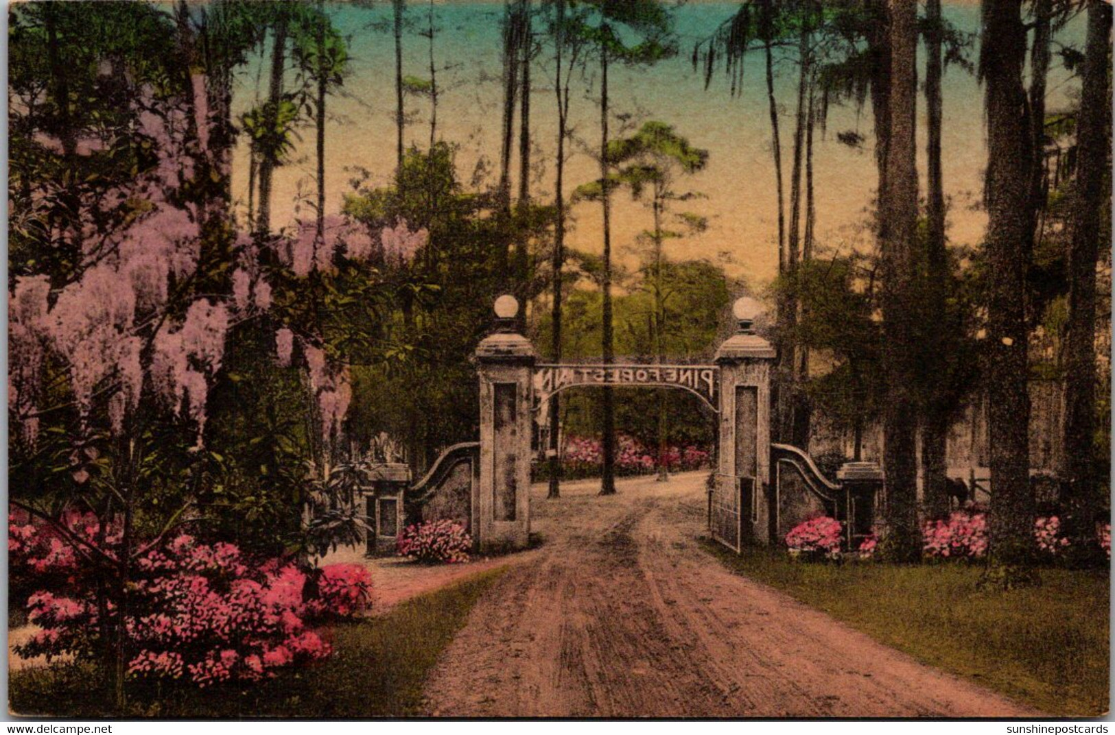 South Carolina Summerville An Entrance Gate Handcolored Albertype - Summerville