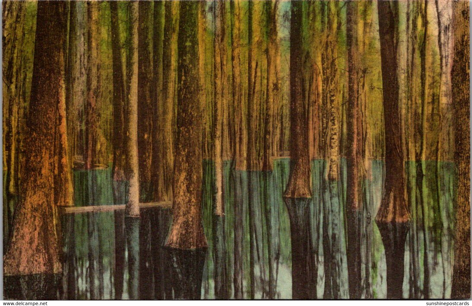 South Carolina Charleston Cypress Gardens Handcolored Albertype - Charleston