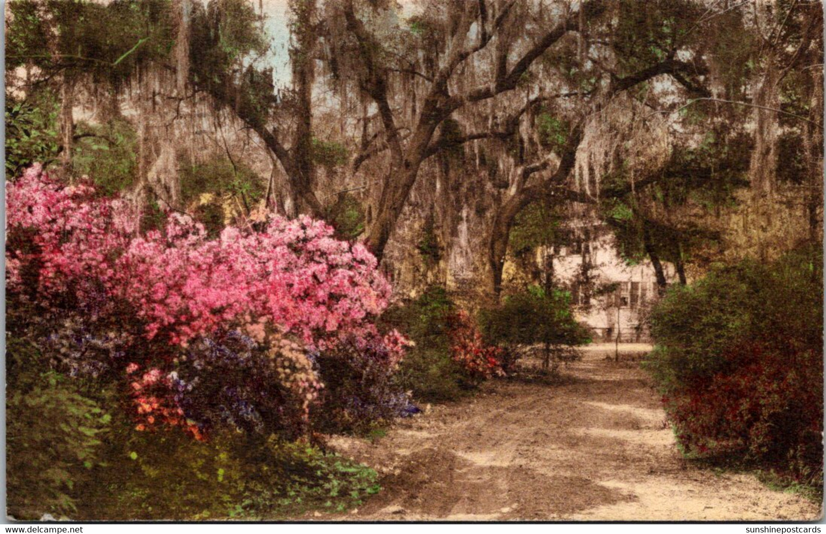 South Carolina Summerville Driveway At "The Postern" 1935 Handcolored Albertype - Summerville