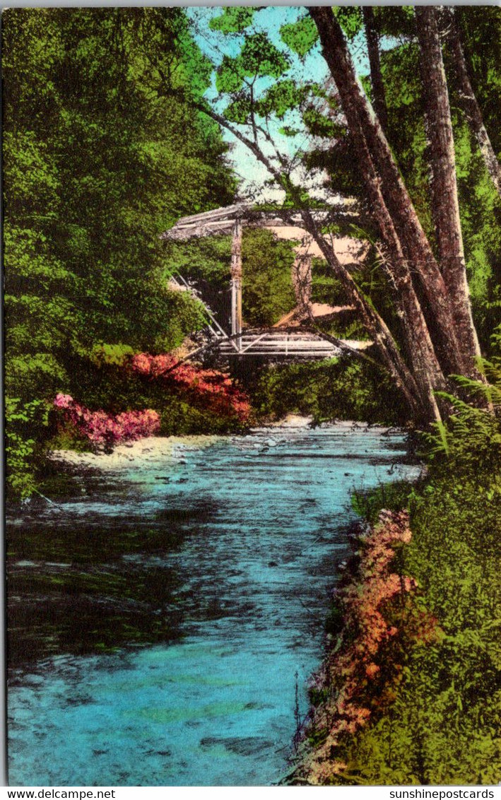 California Big Sur Pfeiffer Redwoods State Park The Big Sur River Handcolored Albertype - Big Sur