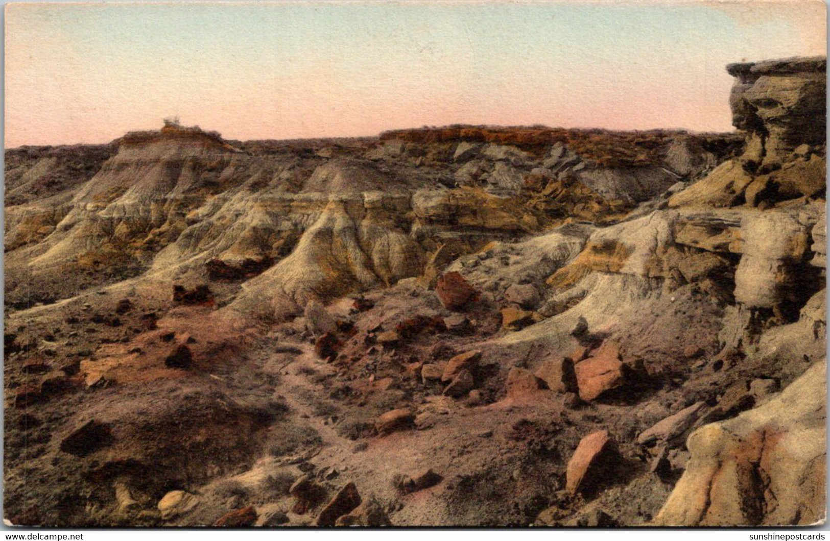 Arizona Petrified Forest National Monument Painted Desert In Rainbow Forest Handcolored Albertype - Tucson
