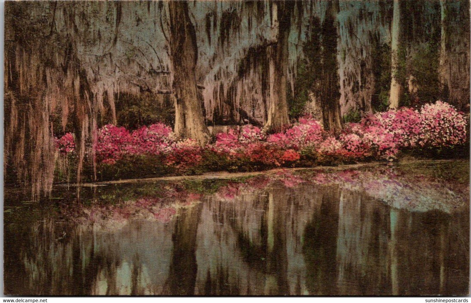 South Carolina Charleston Magnolia Gardens Handcolored Albertype - Charleston