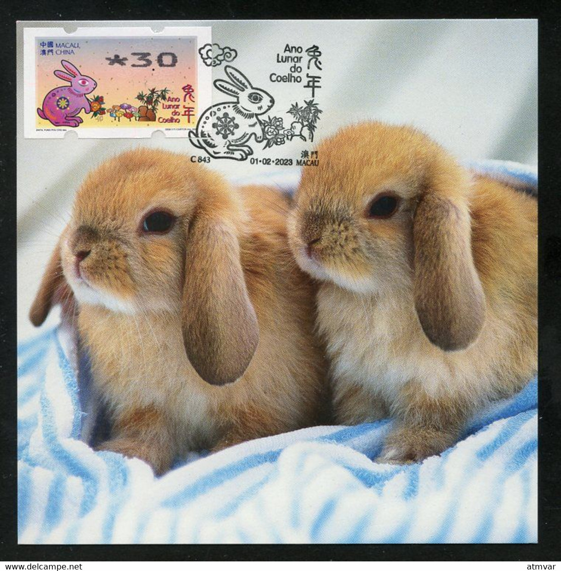 MACAU MACAO (2023) Ano Lunar Do Coelho / Lunar Year Of The Rabbit / Año Del Conejo - Nagler ATM - Carte Maximum Card - Tarjetas – Máxima