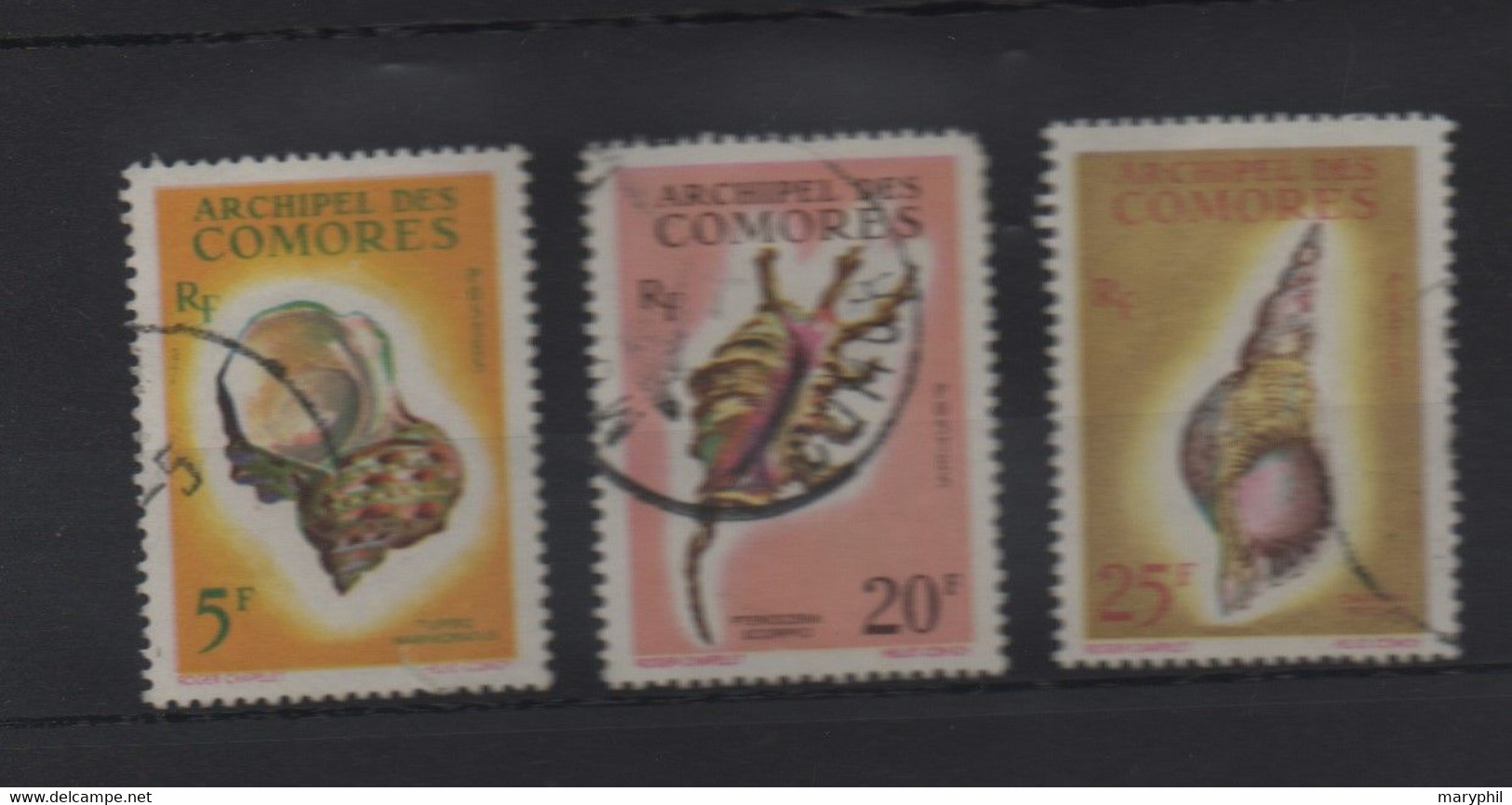 LOT 689 - COMORES N° 22 à 24 - COQUILLAGES  Cote  33,50 € - Used Stamps