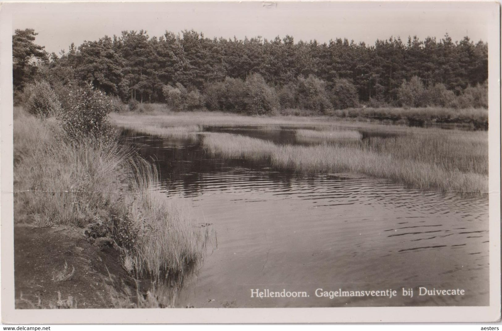 Hellendoorn 1949; Gagelmansveentje Bij Duivecate - Gelopen. (J. Lemmers - Hellendoorn) - Hellendoorn