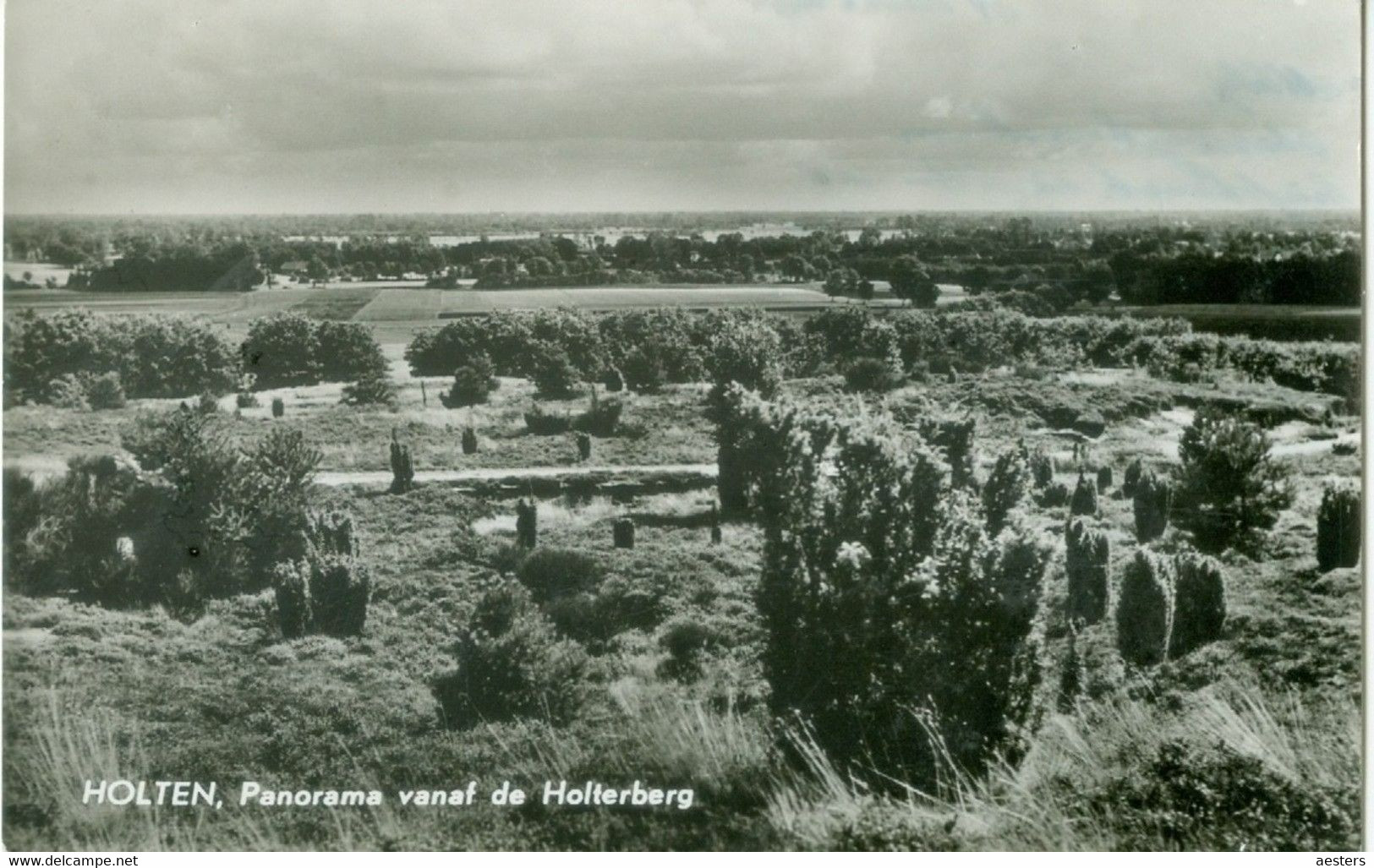 Holten; Panorama Langs Jeneverbessen Vanaf De Holterberg - Gelopen. (M. V.d. Maat - Holten) - Holten